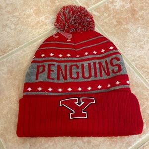 Youngstown winter hat
